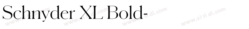 Schnyder XL Bold字体转换 Schnyder XL Bold字体转换